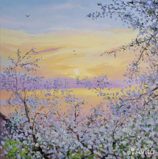 Цветущие яблони на закате