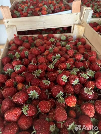 Клубника, малина