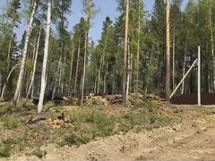 Участок 12,5 сот. (СНТ, ДНП)