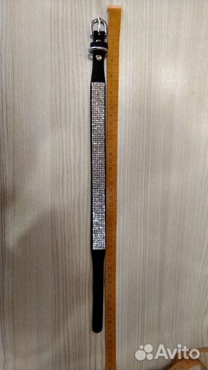 Ошейник для кошек и собак