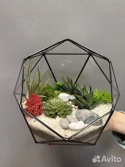 Флорариум в наличии и под заказ