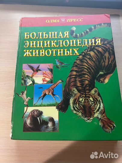 Большая Энциклопедия Животных