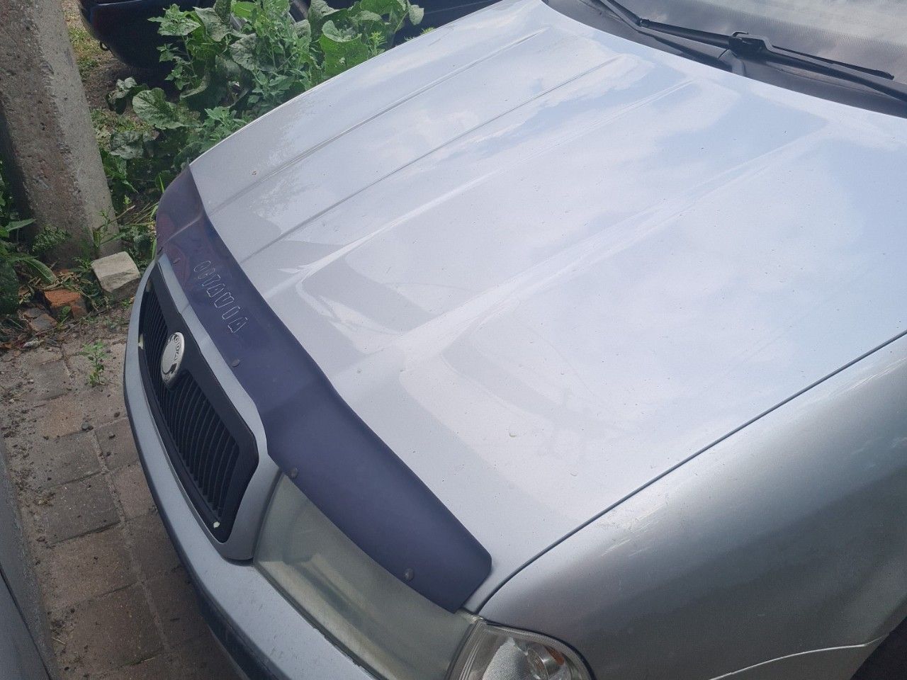 Skoda Octavia: фото владельца