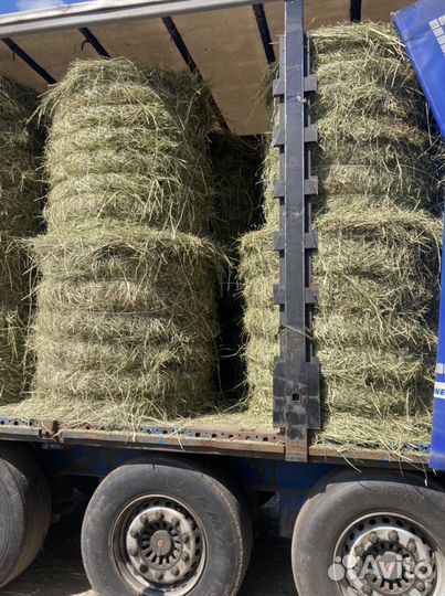 Сено луговое, зелёное разнотравье