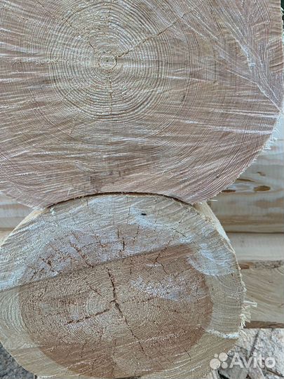 Рубка срубов