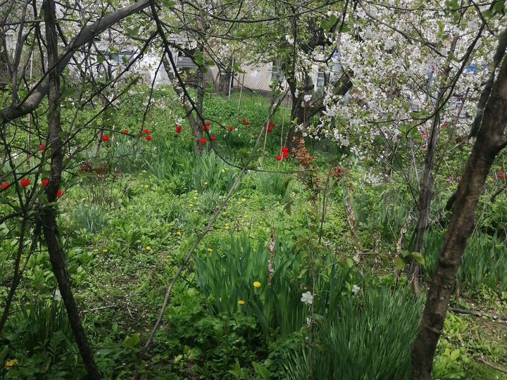 Дом 30 м² на участке 4,5 сот.