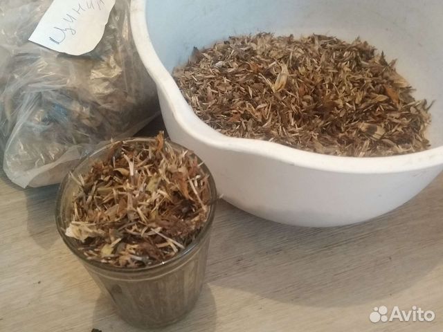 Семена цветов сразу в грунт