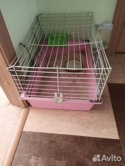 Клетка для декоративного кролика
