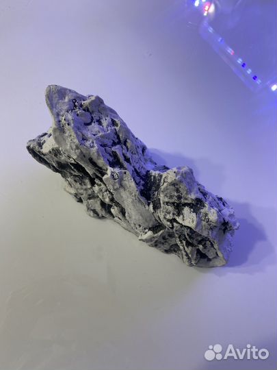 Все для аквариума