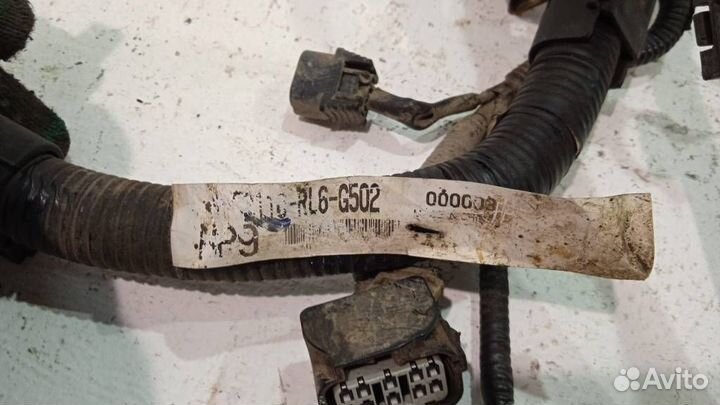 Проводка (коса) Хонда Accord 8