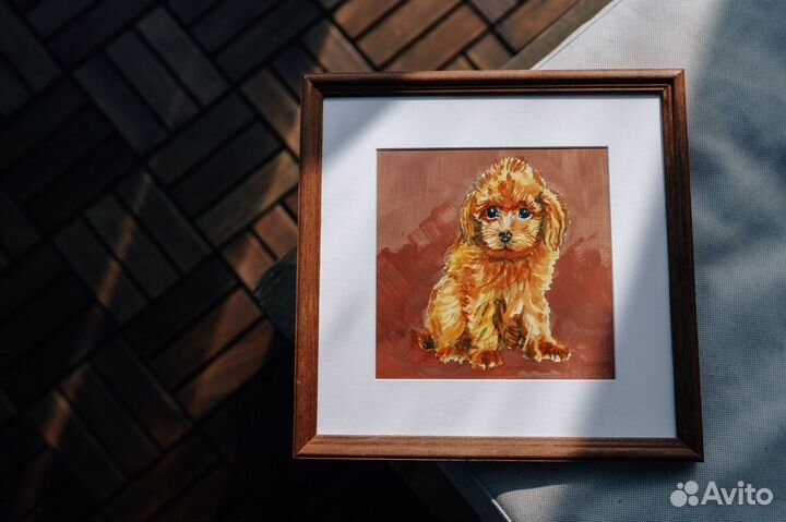 Щенок Мальтипу в добрые руки (картина, акварель)