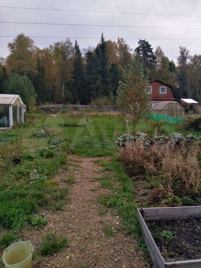 Участок 6 сот. (СНТ, ДНП)