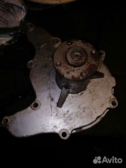 Помпа га3 53,паз