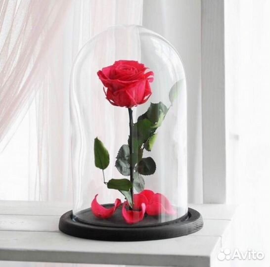 Роза в колбе. От производителя