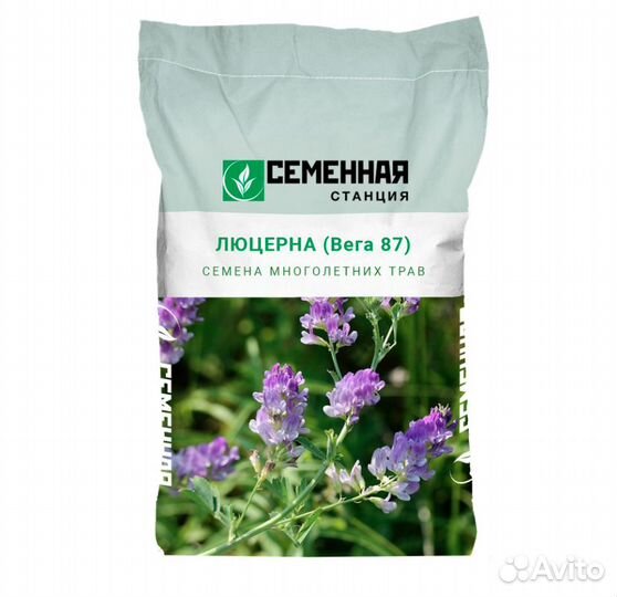 Семена люцерны
