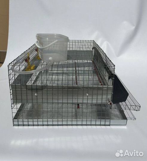 Клетка для 30 перепелов