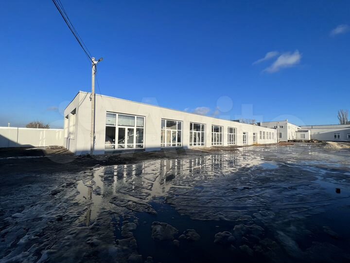 Торговая площадь, 60 м²