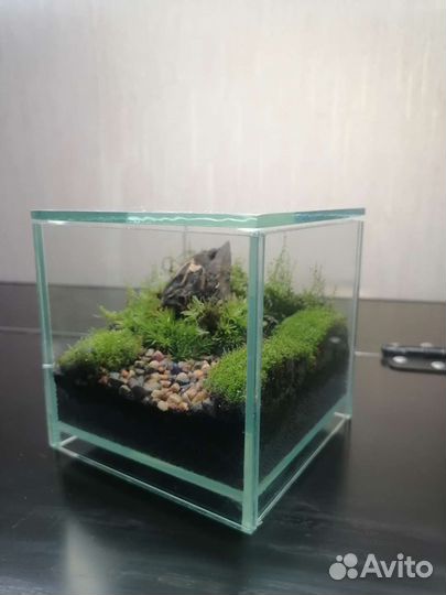 Палюдариум/Флорариум/Мохариум