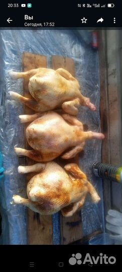 Домашнее мясо индейка бройлер