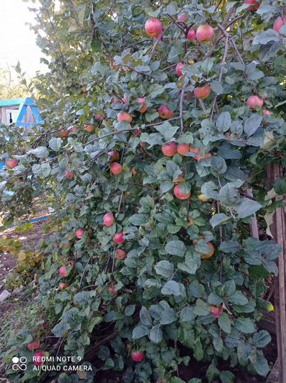 Дача 20 м² на участке 7,7 сот.