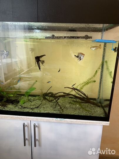 Аквариум с тумбой