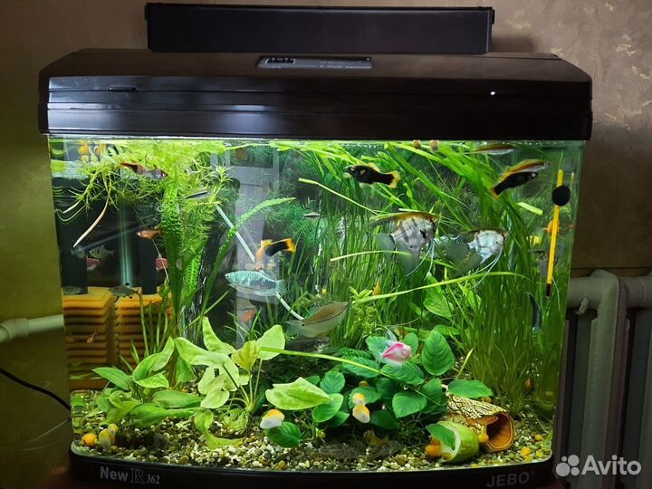 Продам аквариум