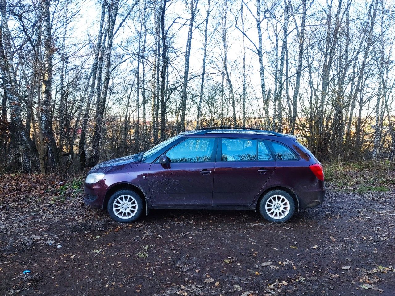Skoda Fabia: фото владельца