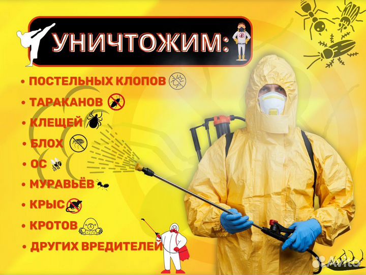 Травля насекомых,клопов,тараканов,дезенсектор