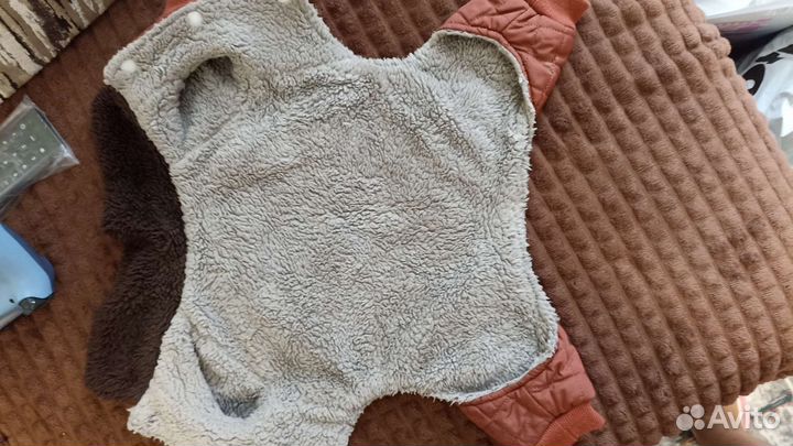 Одежда для собак мелких пород