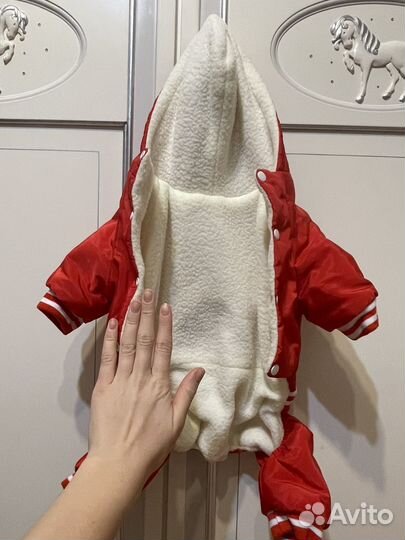 Одежда для средних собак