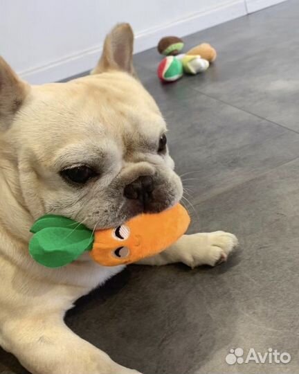 Игрушки для собак