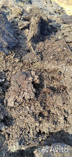 Перегной в мешках