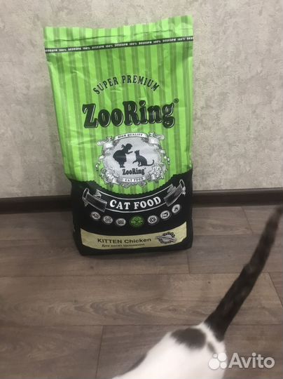 Сухой корм ZooRing Chicken 10кг для кошек и котят