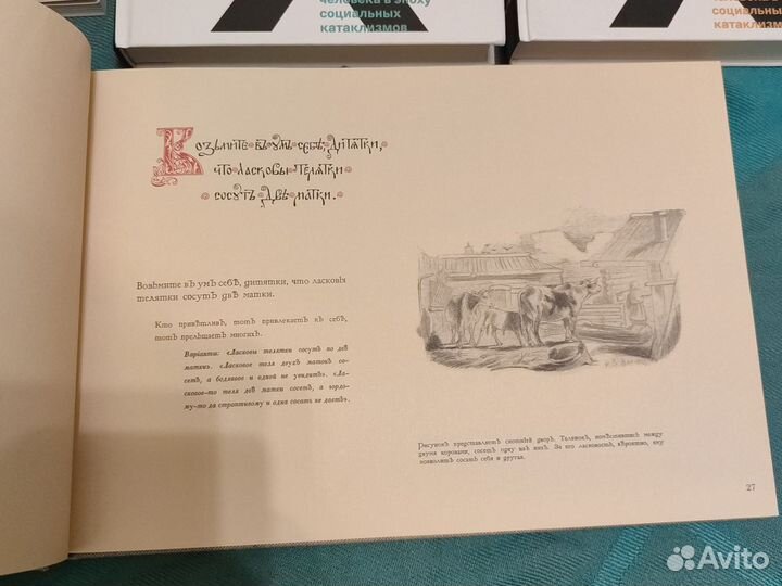 Светлана Адоньева магические практики