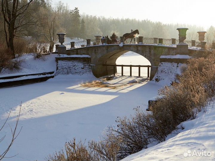 Экскурсия — Санкт-Петербург — Семейная экскурсия-к