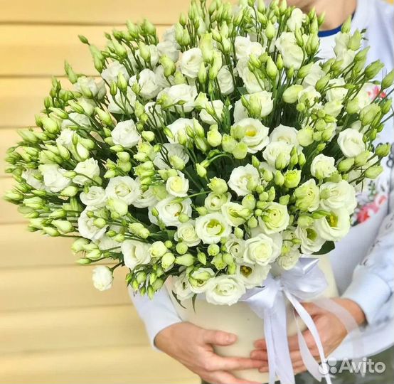 Цветы букеты