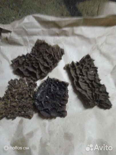 Лакомство для собак