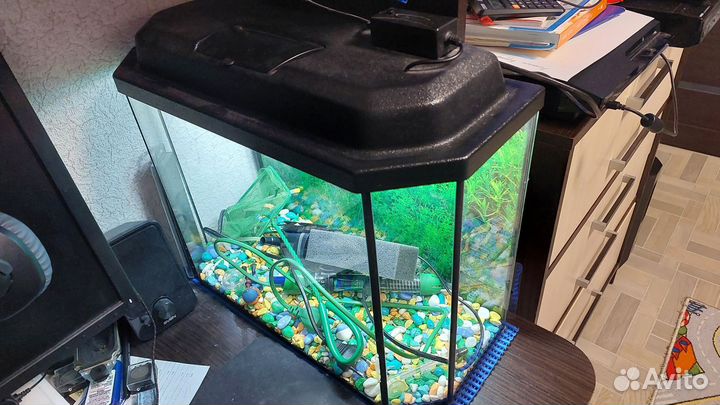 Аквариум 25л