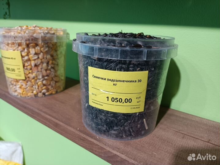 Семечки подсолнечника