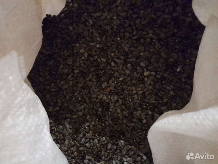 Семена арбуза 