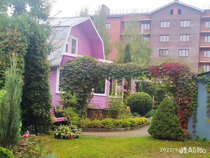 Сад, экскурсия, стрижка, саженцы