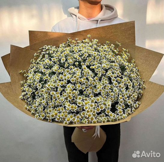 Букеты. Доставка ромашек
