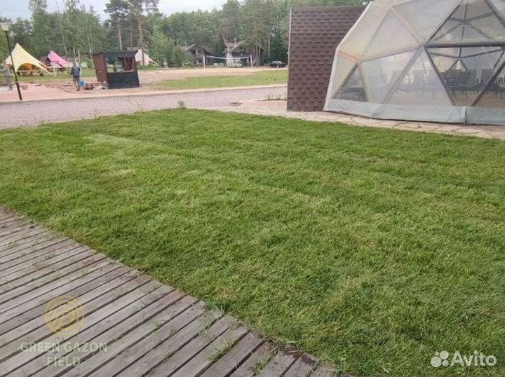 Газон универсал оптом