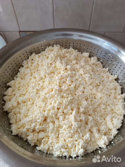 Молоко коровье домашнее