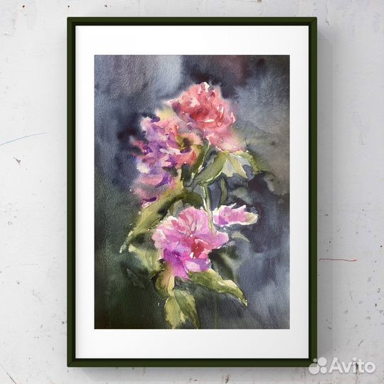 Пионы акварельная картина