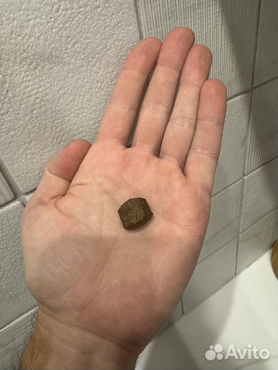 Корм для собак acari ciar, aurora light, 15кг