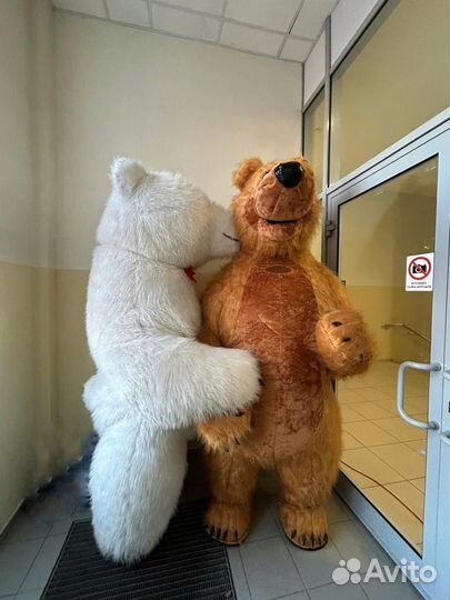 Ростовой медведь