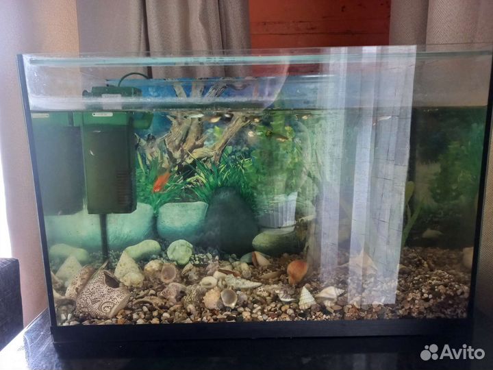 Аквариум