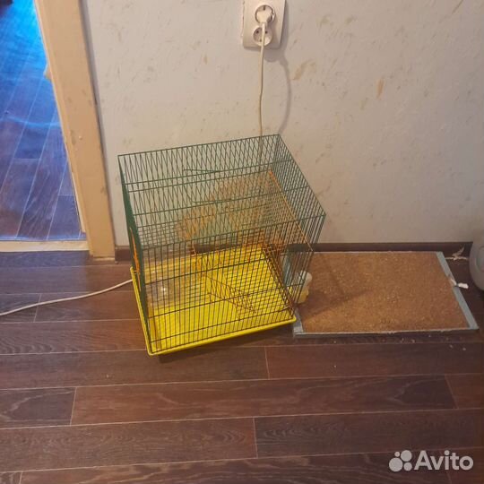 Клетка для грызунов