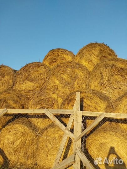 Продаем сено